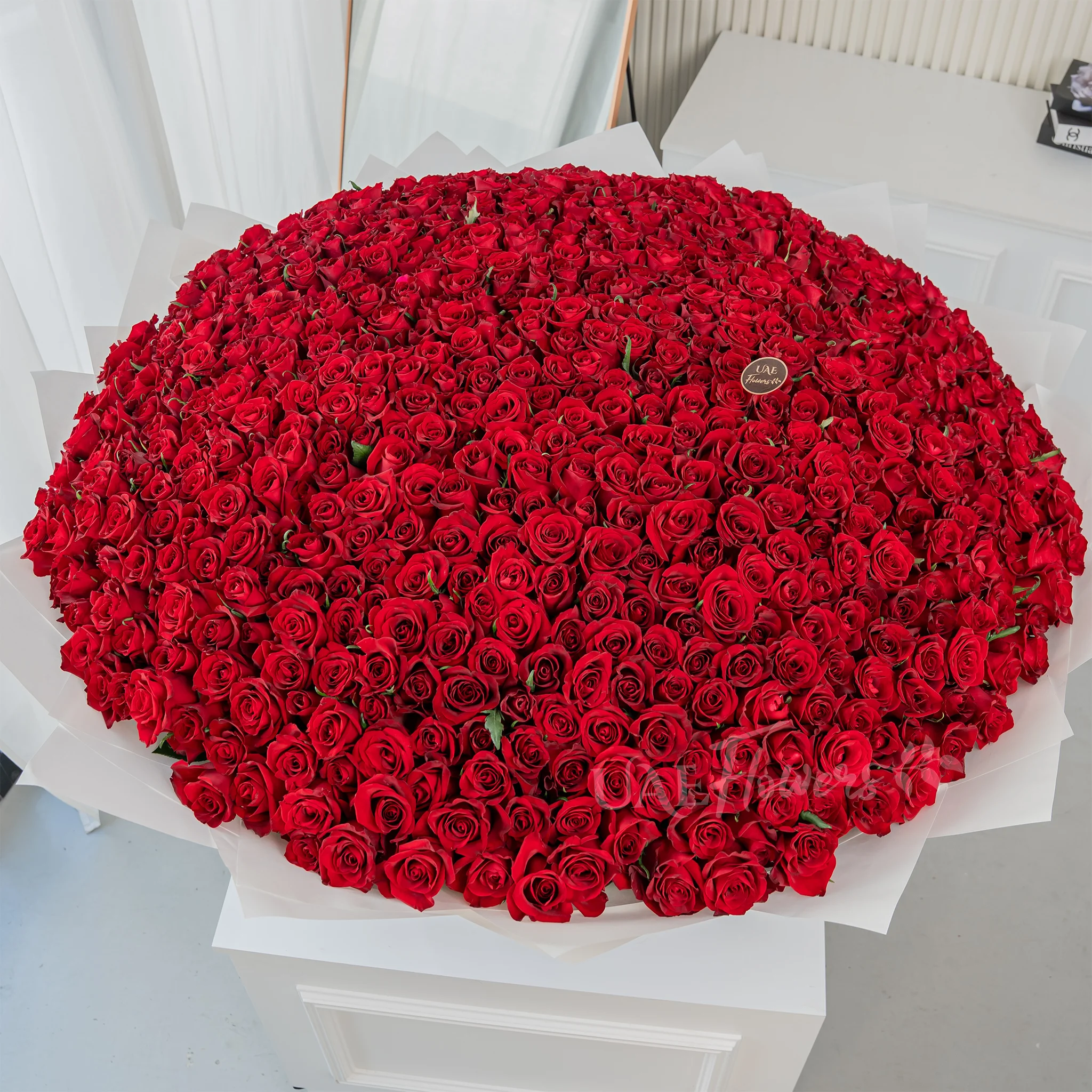 Bouquet of 1000 red roses in white wrapping paper tied with black ribbon.