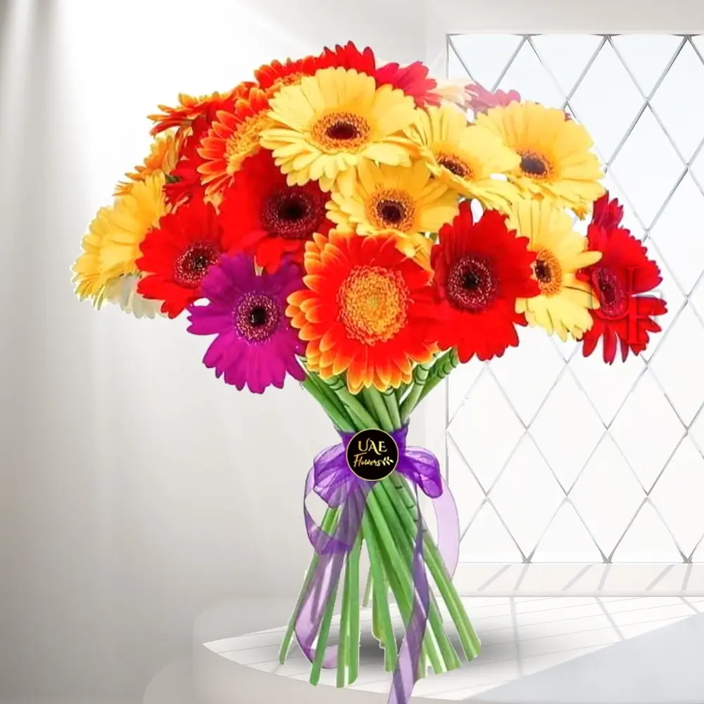 10 Mixed Gerberas
