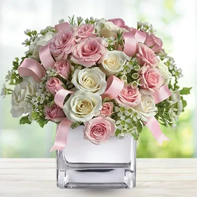 12 pink & 12 white roses with pink ribbons in a vase