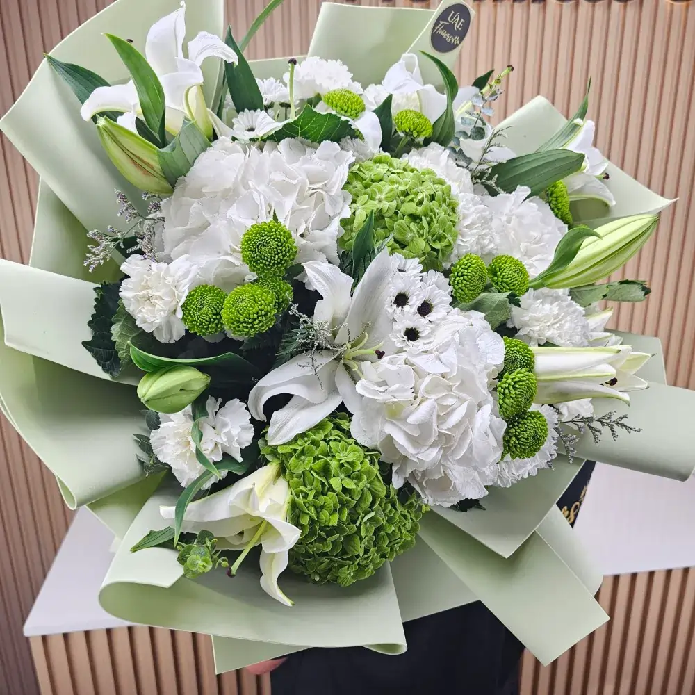 A bouquet of 2 white and 2 green hydrangeas, 5 white lilies and 2 green button chrysanthemums with green fillers and baby's breath in pastel green wrapping paper with white ribbon.