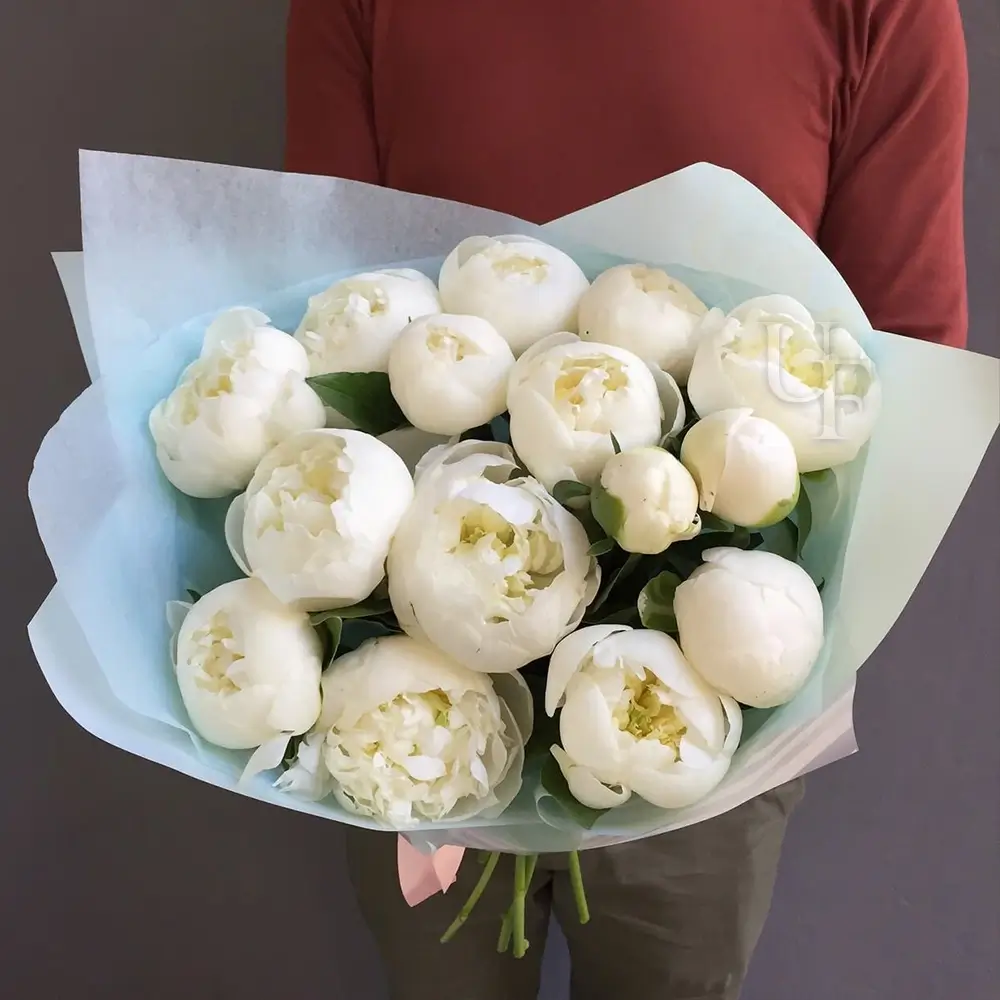 15 white peonies arranged in a blue wrapping