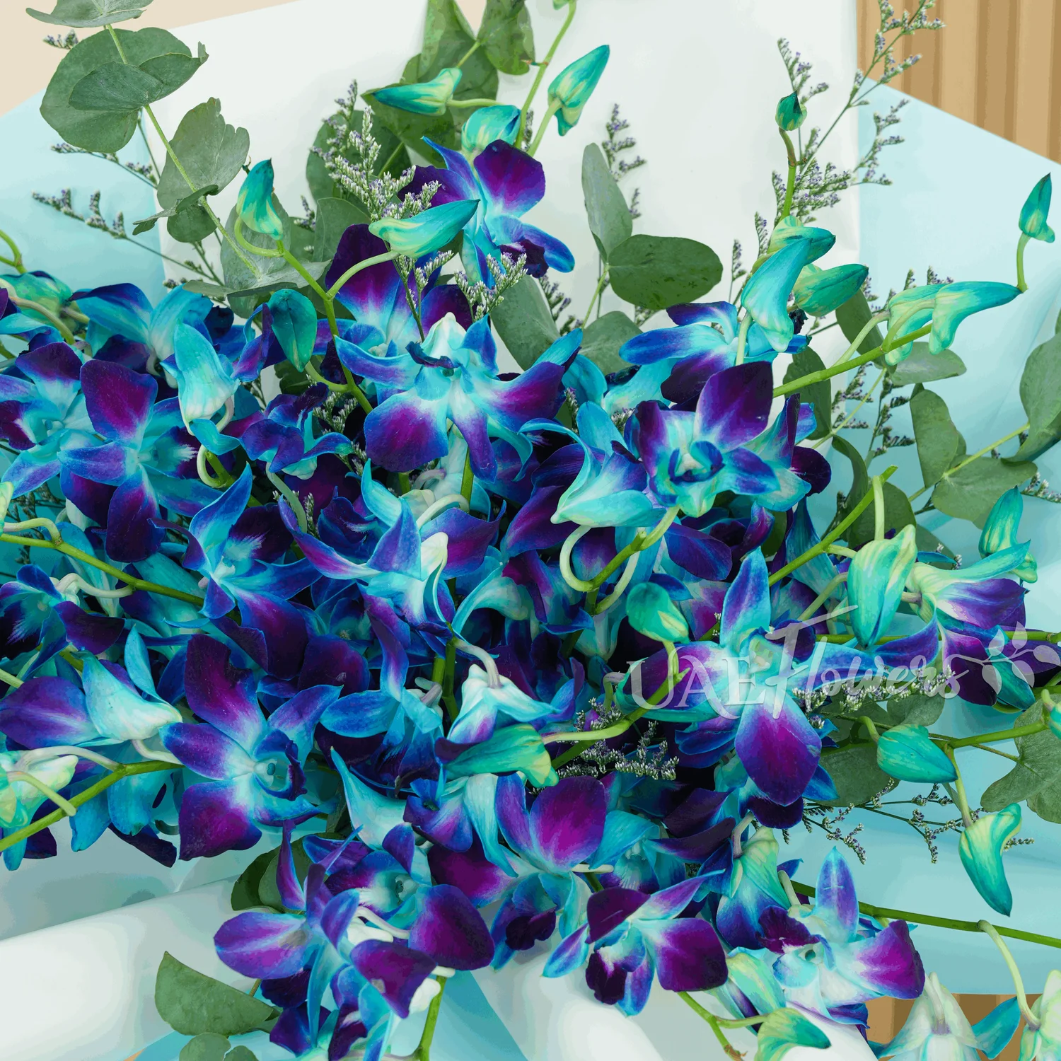 A bouquet of 20 blue orchids with greens and limonium fillers wrapped in blue and white paper tied with blue ribbons
