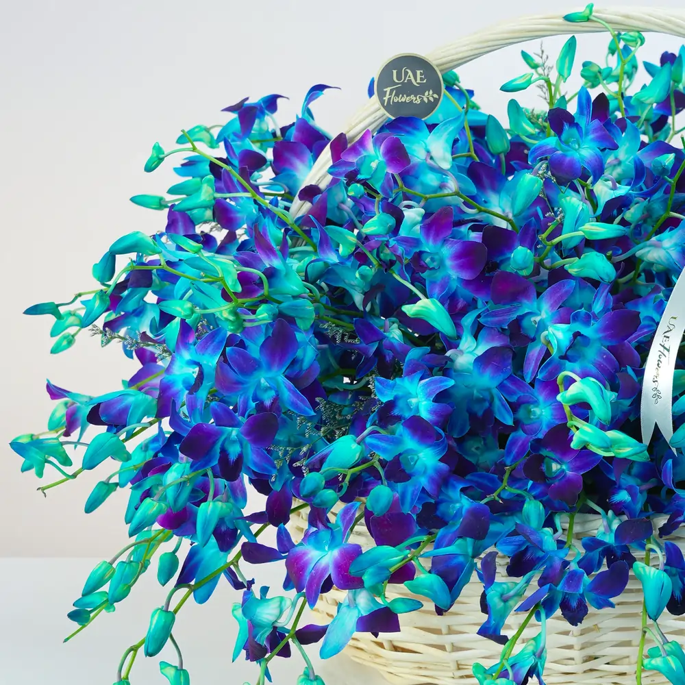 80 blue orchids with fillers in a charming handle basket
