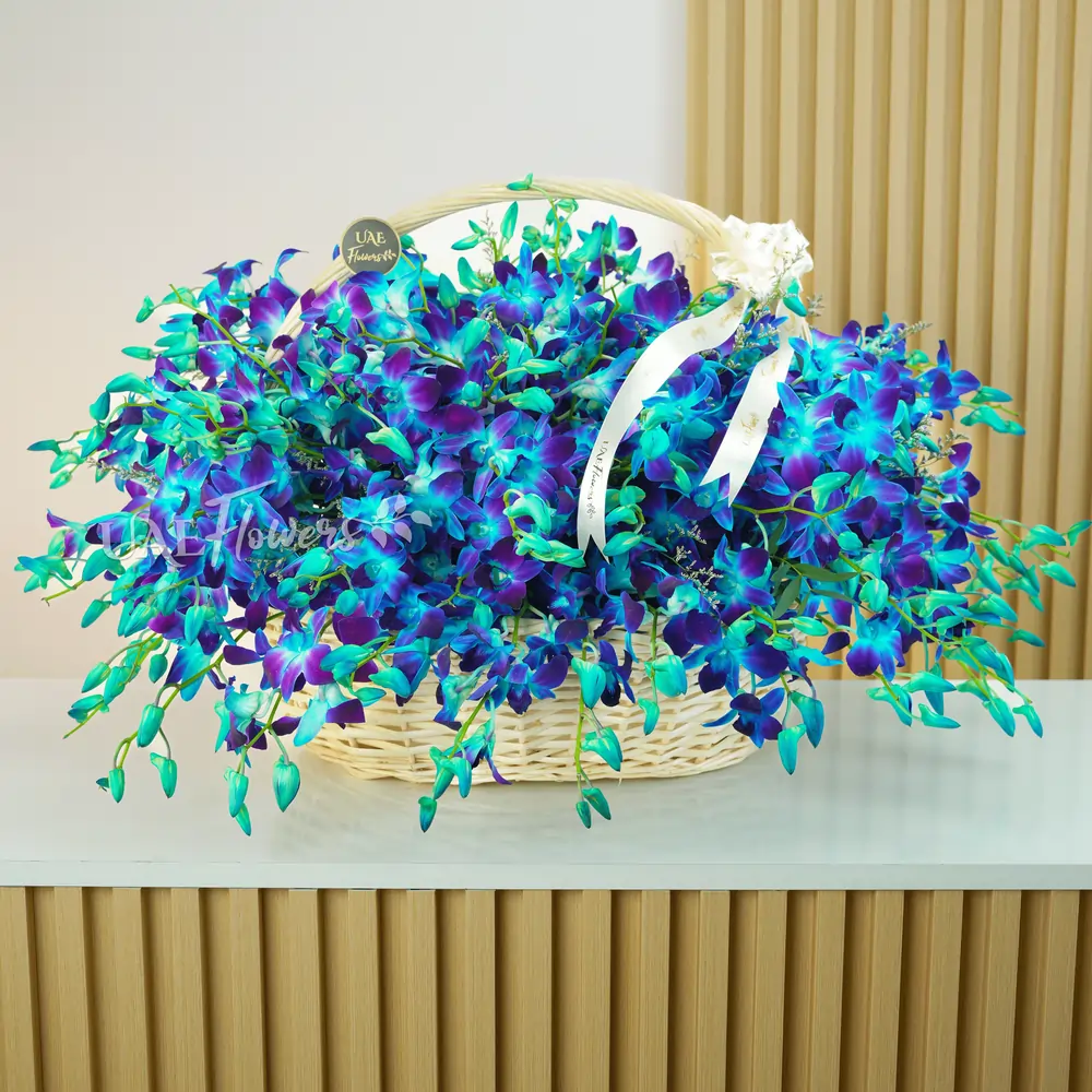 80 blue orchids with fillers in a charming handle basket