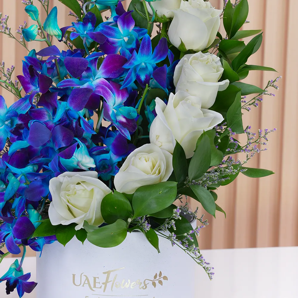 floral box with 7 white roses, 5 blue orchids, and fillers