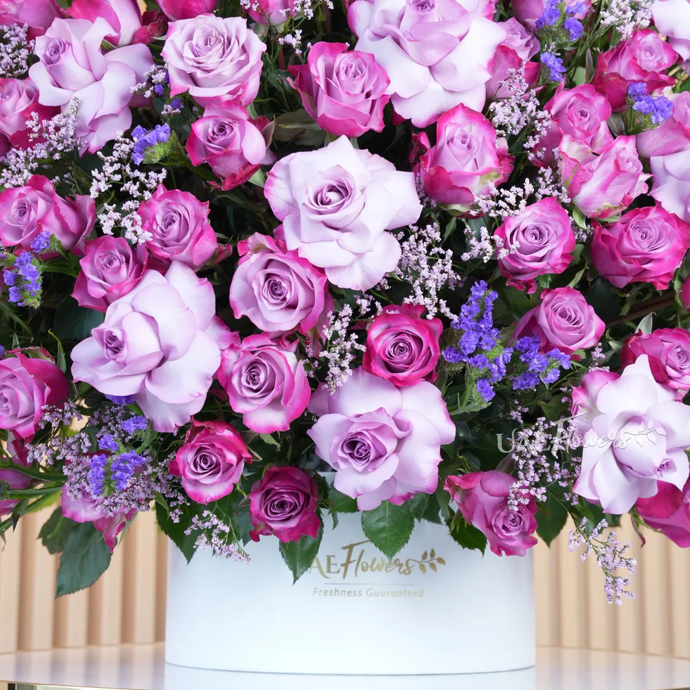 A half round arrangement of 100 purple roses, statice flowers with a lot of greens, & eucalyptus leaves in a round white box