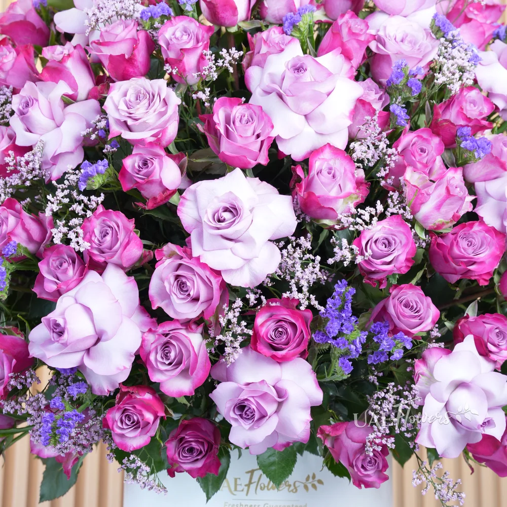 A half round arrangement of 100 purple roses, statice flowers with a lot of greens, & eucalyptus leaves in a round white box