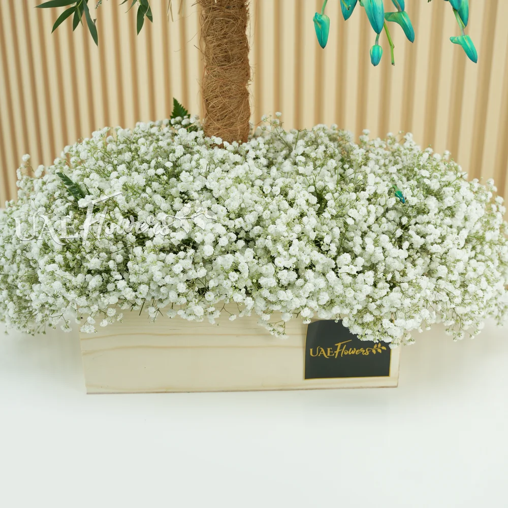 30 blue orchids with baby’s breath