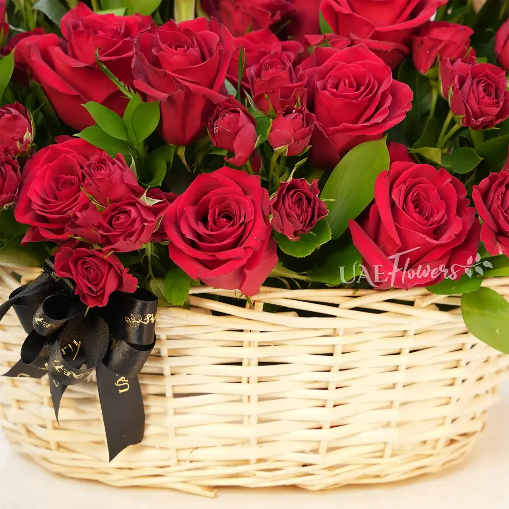 20 red roses and 5 red spray roses with green fillers.