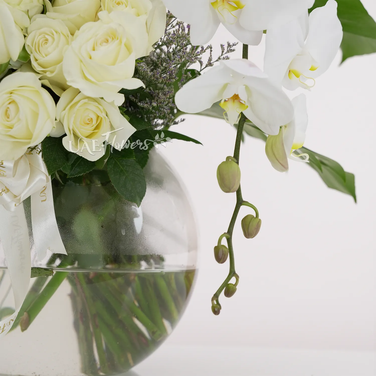 Glass vase of 50 white roses with white orchid and limonium fillers tied with satin ribbon