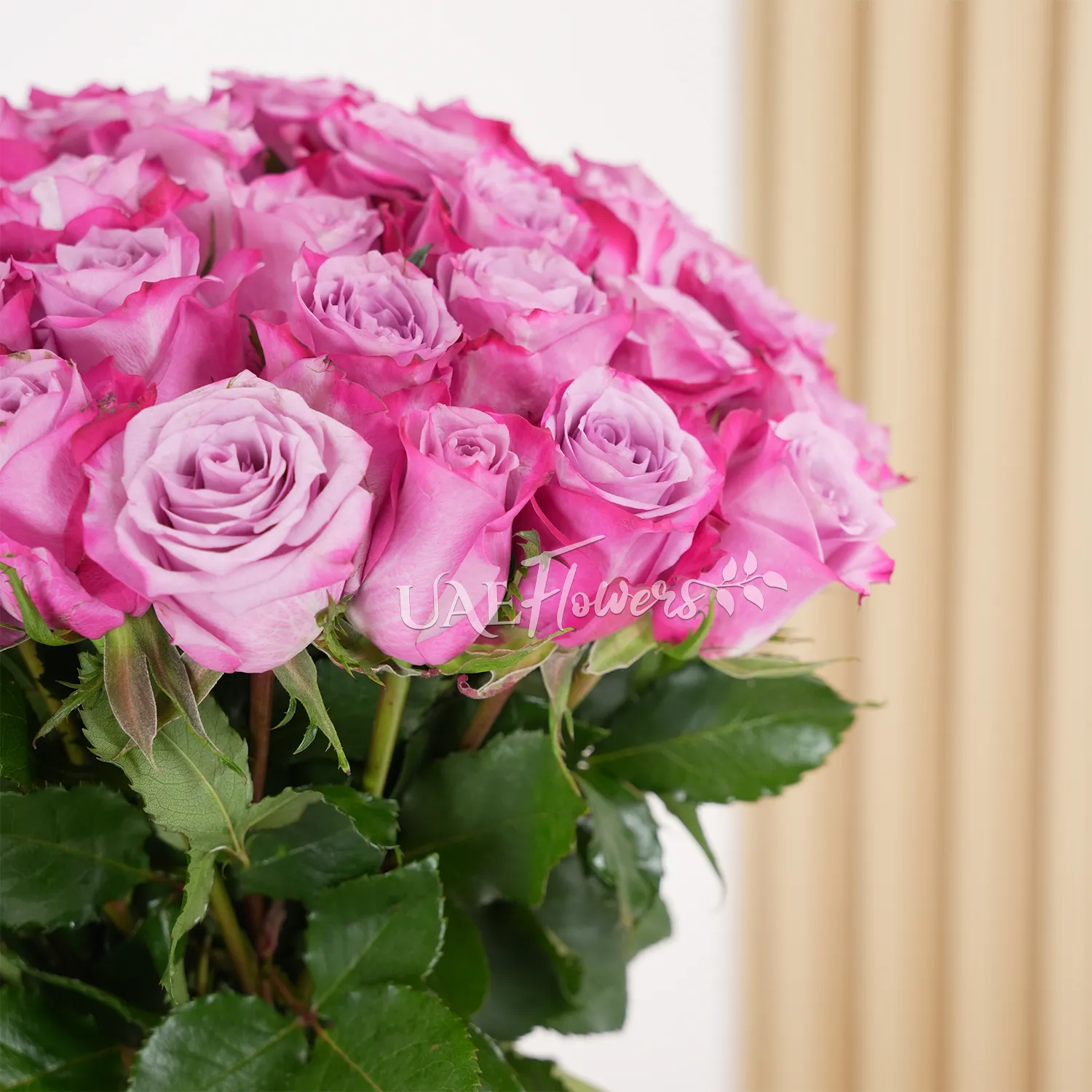 40 purple roses and green fillers, tied with pink ribbons