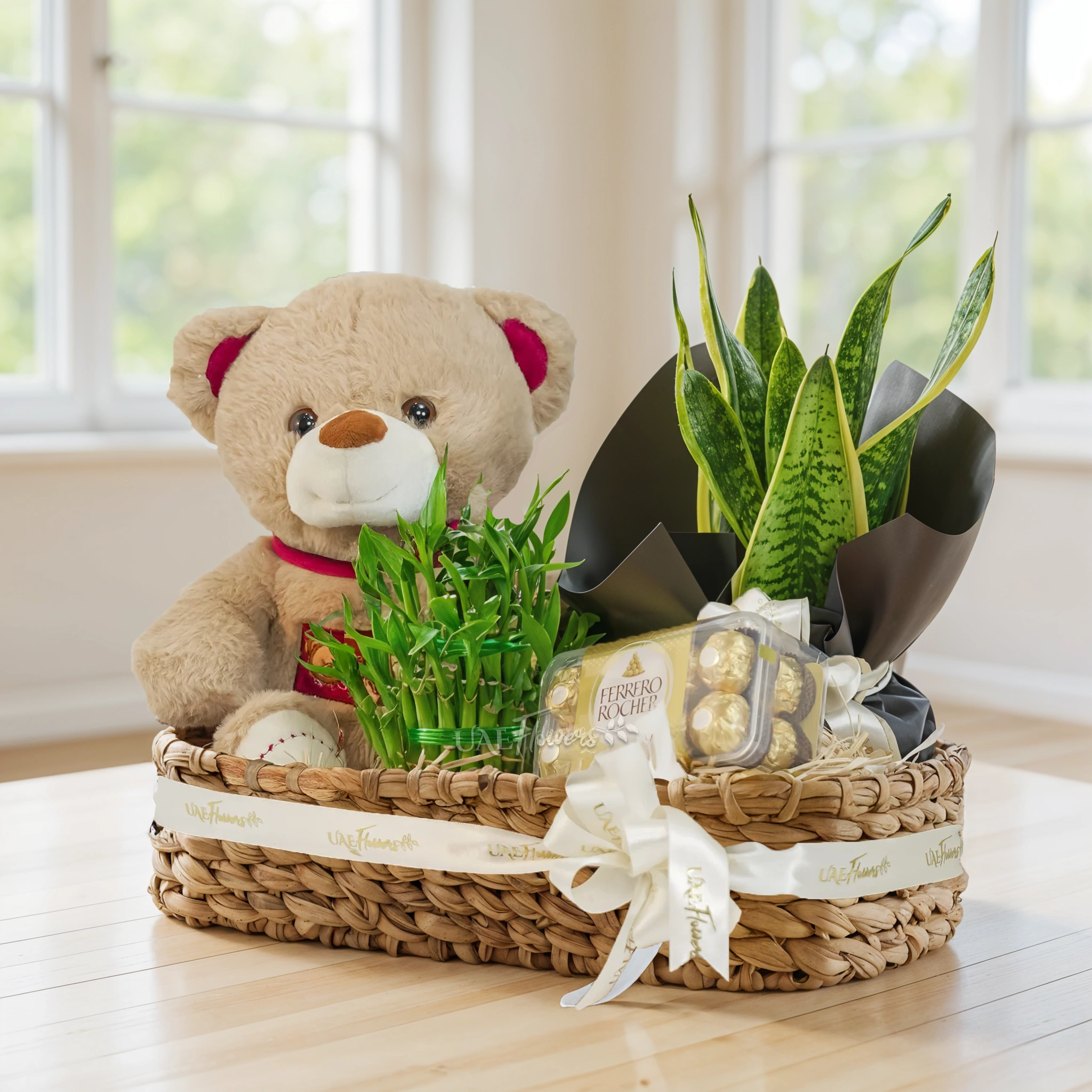 Green Bliss Basket with lucky bamboo, snake plant, chocolates, and teddy bear