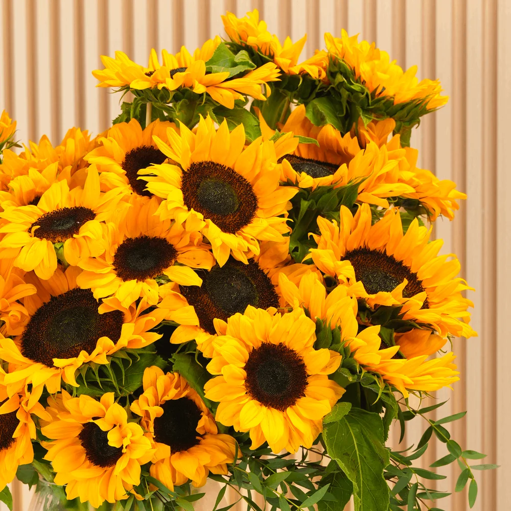 20 bright yellow sunflowers in a crystal glass vase
