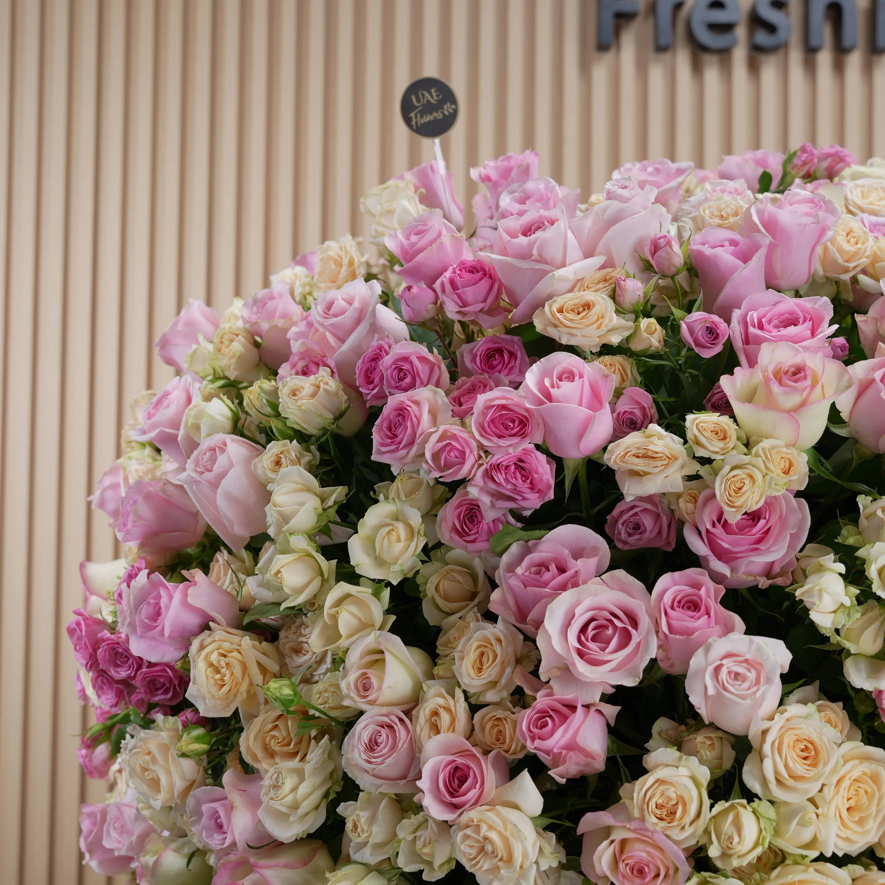 round arrangement of 100 light and dark pink roses and peach spray roses in a round box.