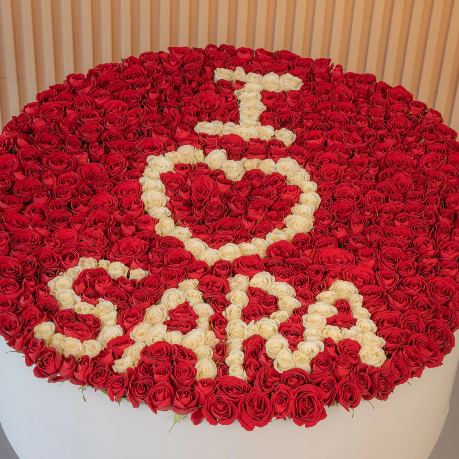 large flower box featuring 500 red rose buds and spray roses