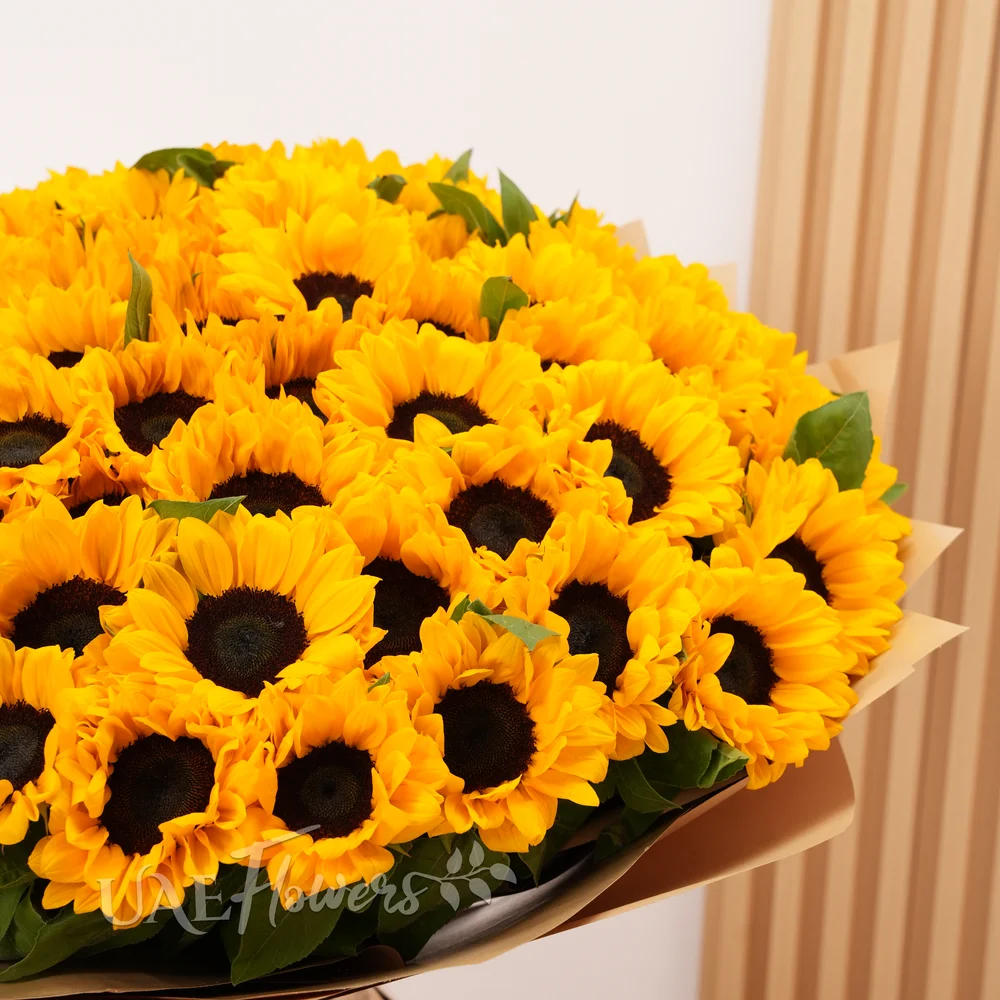 large bouquet of 50 sunflowers with fillers
