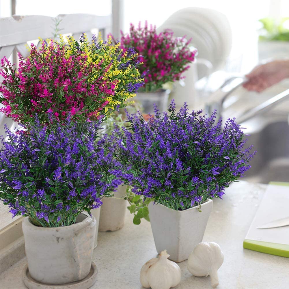 Lavender Plant in Pot