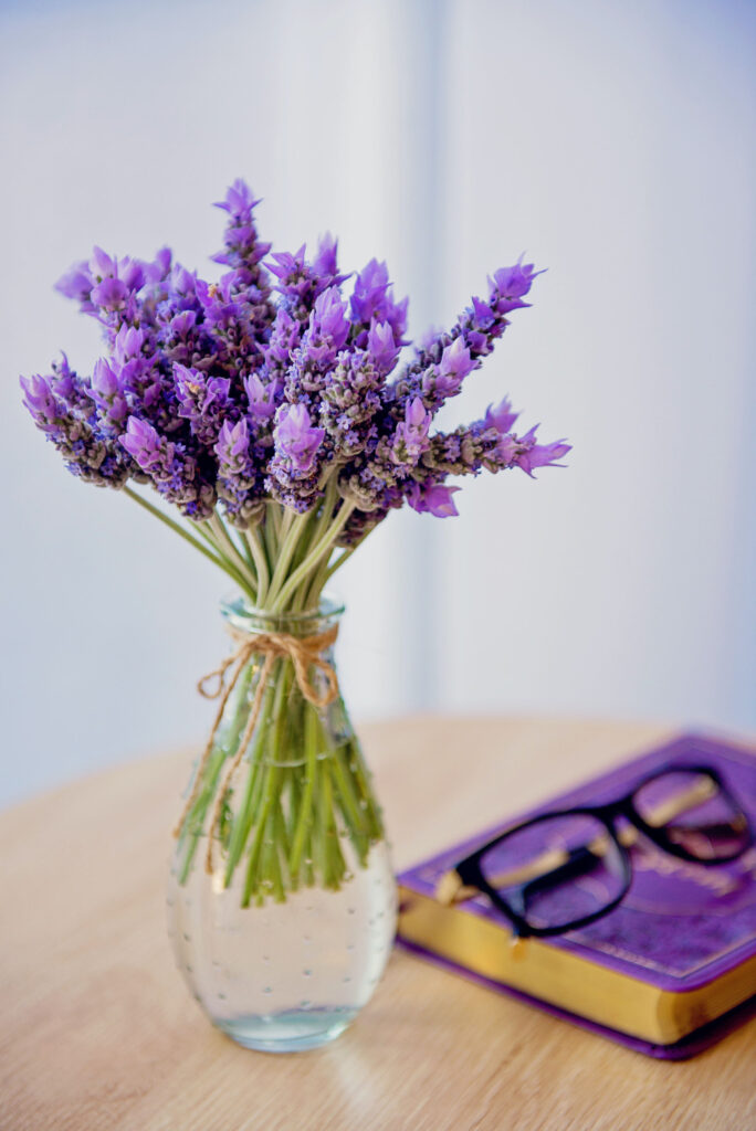 Most Romantic Flowers for Your Partner